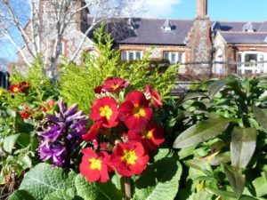 Image of brightly coloured flowers in front of Angmering Library, West Sussex