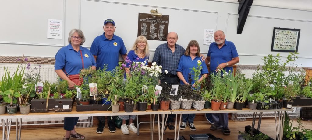 Angmering in Bloom Plant Sale 2025