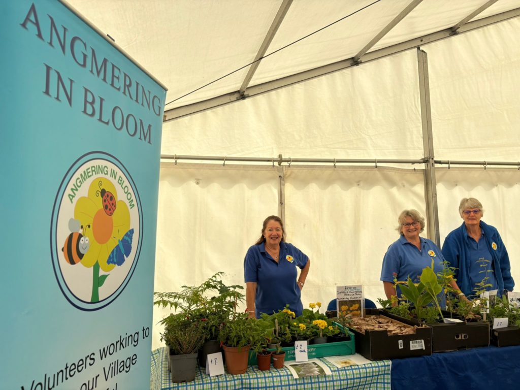 Angmering in Bloom at Angmering Revealed 2025