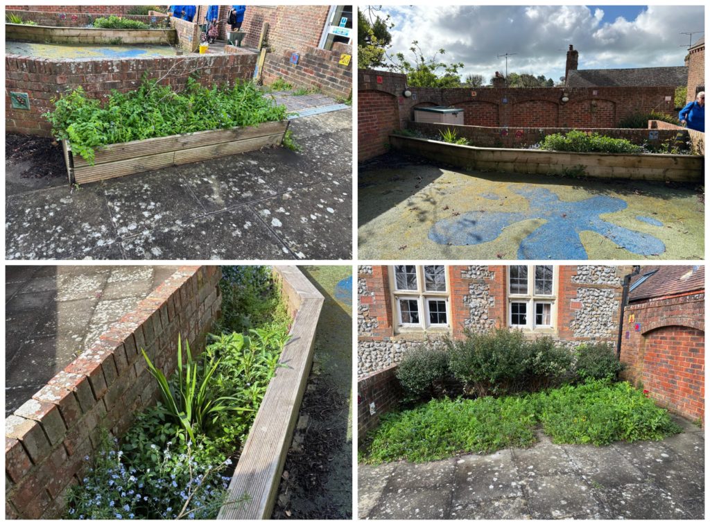 The Library Garden Angmering before photos
