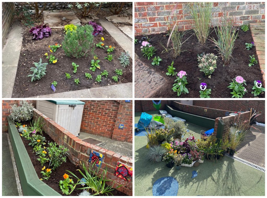 New plants in the Library Garden by the Angmering in Bloom team