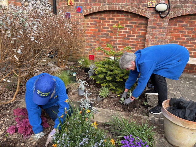 Angmering in Bloom working in the library garden