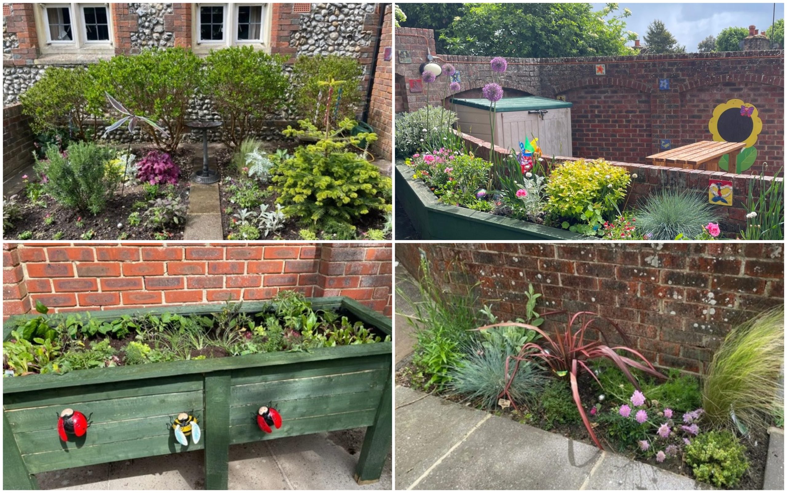 Angmering Library garden supported by Angmering in Bloom