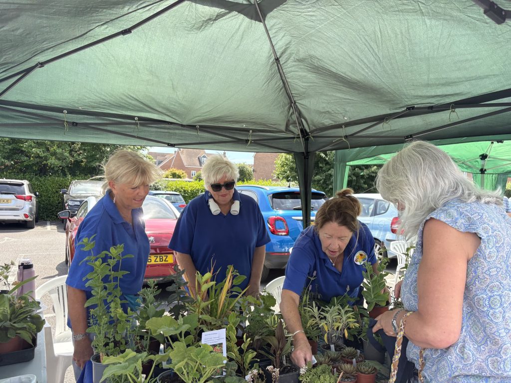 Angmering in Bloom at the Flower and Produce Show 2026