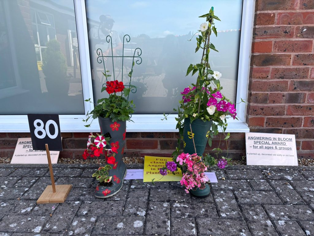 Angmering Flower and Produce Show decorated wellies competition